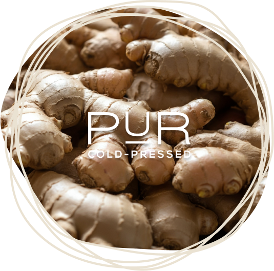 Ginger root overlayed with the PUR logo