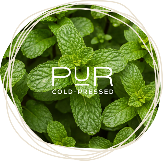 Mint overlayed with the PUR logo