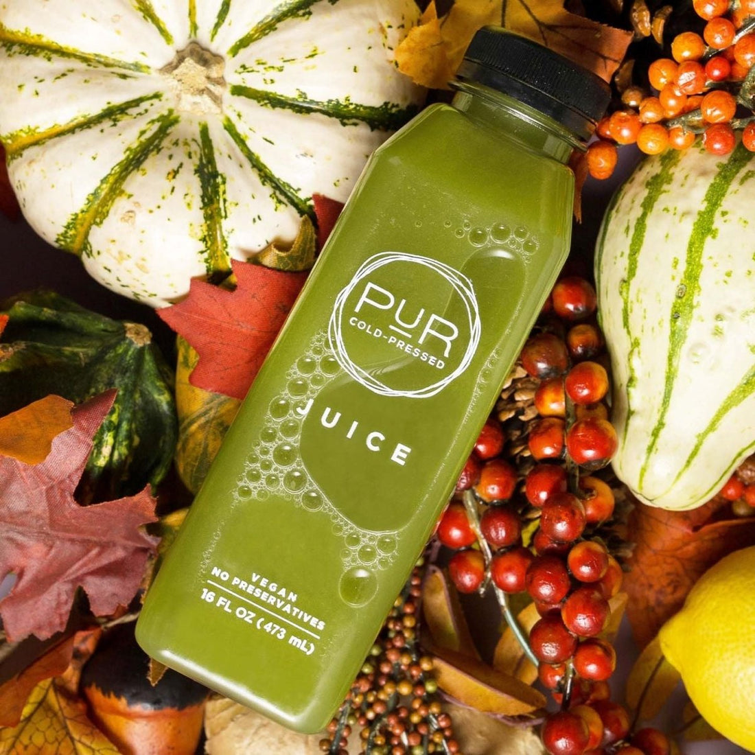 Plant-Based Protein That Can Give You More Energy - PUR Cold Pressed Juice
