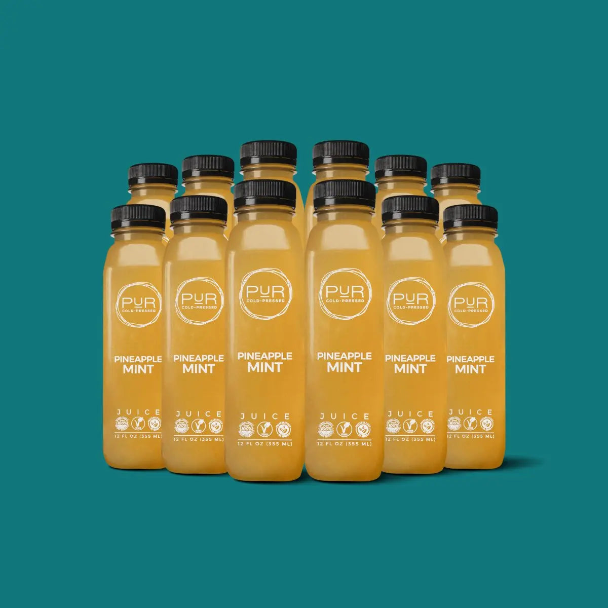 Pineapple Mint Cold-Pressed Organic Juice Kit